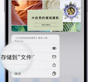 花垣apple维修中心分享iPhone文件应用中存储和找到下载文件