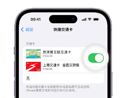 花垣apple维修点分享iPhone上更换Apple Pay快捷交通卡手绘卡面 