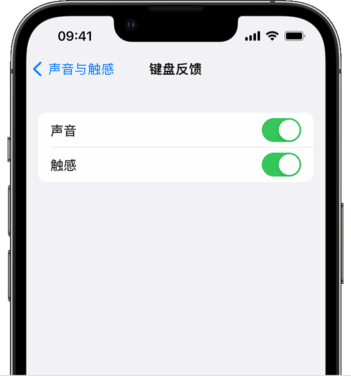 花垣苹果14维修店分享如何在 iPhone 14 机型中使用触感键盘 