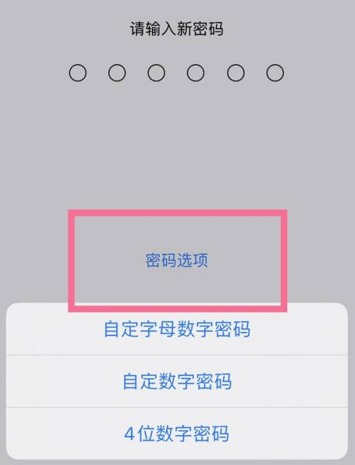 花垣苹果14维修分享iPhone 14plus设置密码的方法 