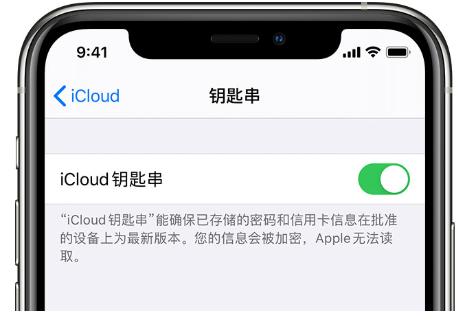 花垣苹果手机维修分享在 iPhone 上开启 iCloud 钥匙串之后会储存哪些信息 