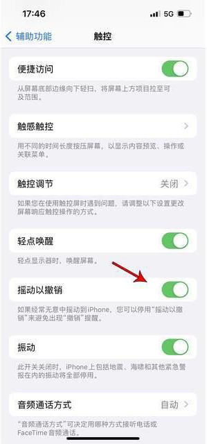 花垣苹果手机维修分享iPhone手机如何设置摇一摇删除文字 