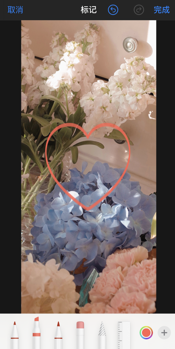 花垣苹果手机维修分享iPhone 12 如何在照片上涂鸦 