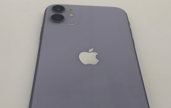花垣苹果11系统维修分享iPhone11手机系统崩溃无法开机如何解决
